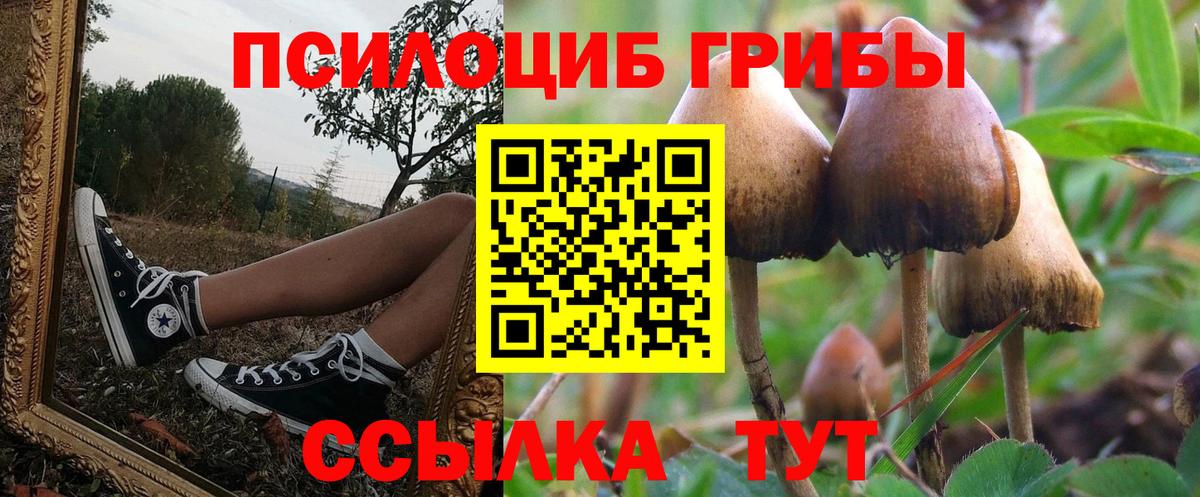 Псилоцибиновые грибы Magic Shrooms  Галлюциногенные грибы GOLDEN TEACHER  купить  цена  Вход с VPN  Сланцы 
